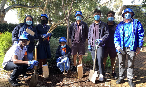 Australian Secondary School of English National Tree Day
