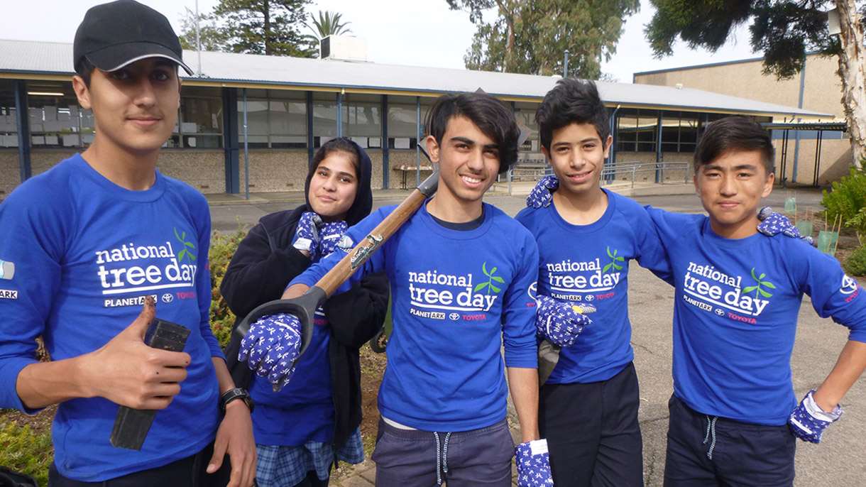 Students planting trees at Schools Tree Day 2017