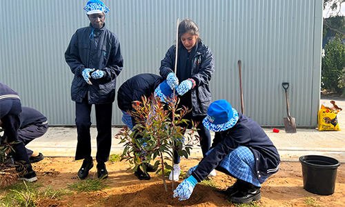 CMI Toyota National Tree Day 2022