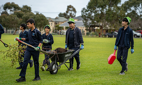 CMI Toyota National Tree Day 2023