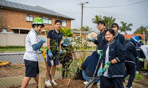 CMI Toyota National Tree Day 2023