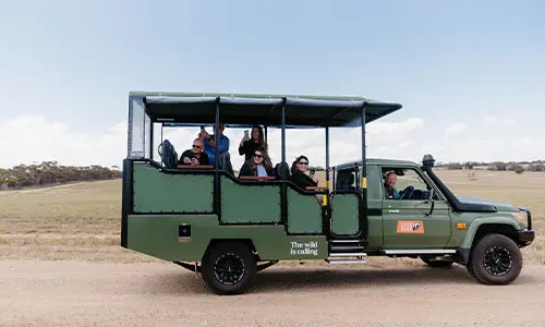 CMI Toyota Monarto Safari Park LandCruiser safari vehicle