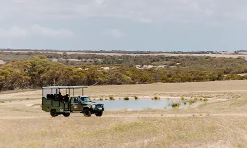 CMI Toyota Monarto Safari Park LandCruiser safari vehicle