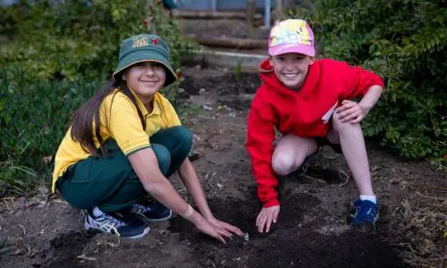 School's National Tree Day