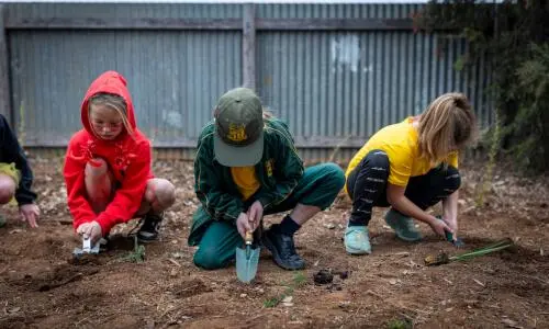 School's National Tree Day
