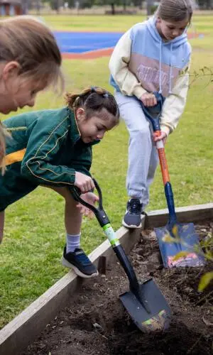 School's National Tree Day