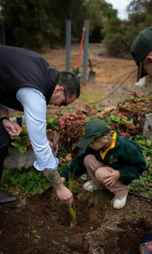 School's National Tree Day