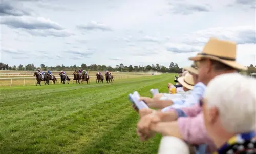 Toyota Dubbo Gold Cup
