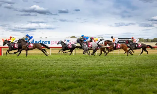Dubbo Gold Cup Calcutta