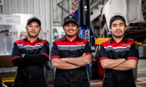 Kluger - Free Service