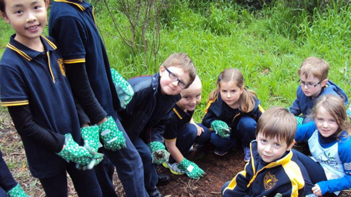 National Tree Day 2014 | CMI Toyota