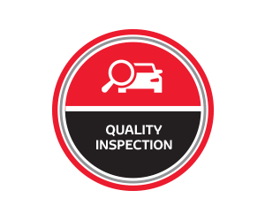 CarHistory Background Check