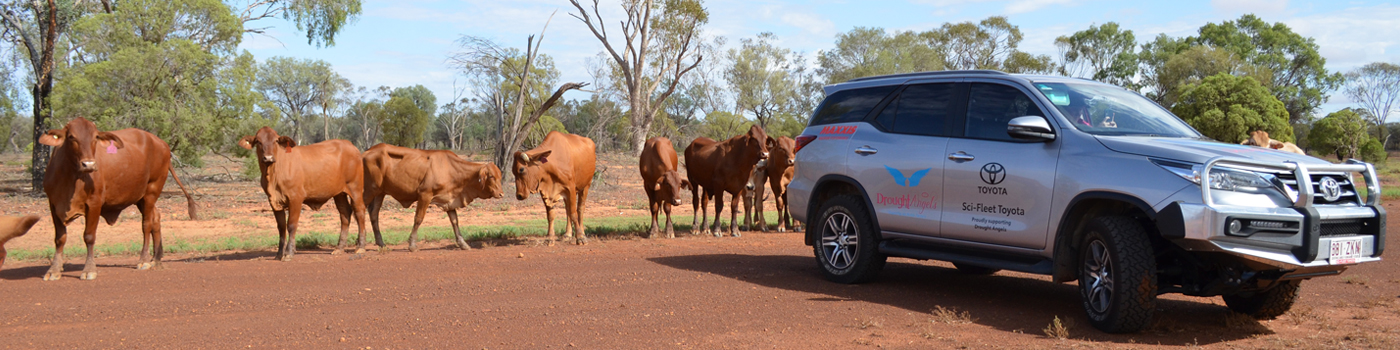 Sponsorship & Events