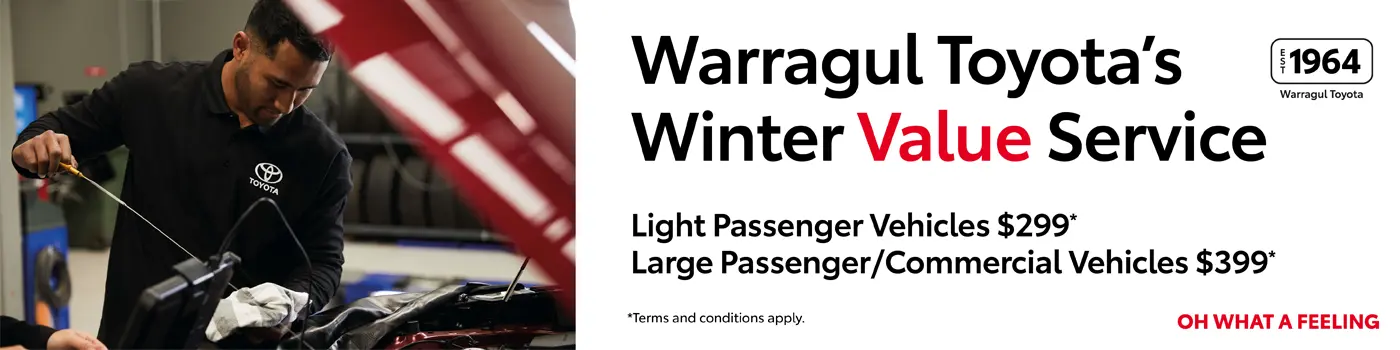 Book Your Winter Value Service